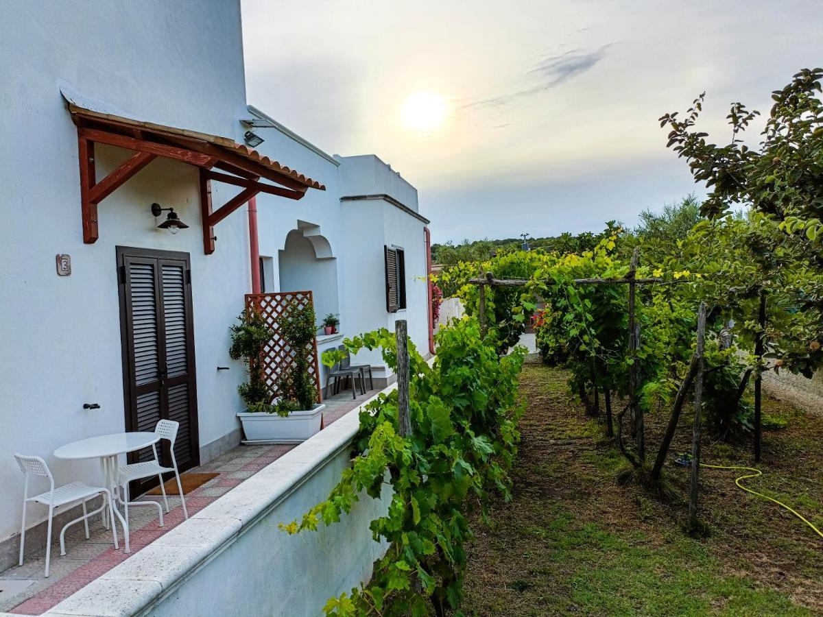 Il Giunco B&B Vieste Exterior photo