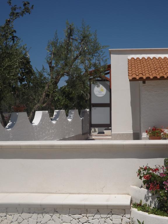 Il Giunco B&B Vieste Exterior photo