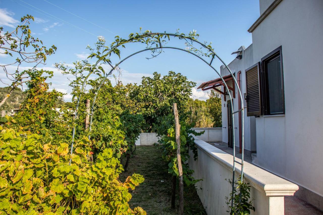 Il Giunco B&B Vieste Exterior photo
